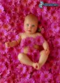 /album/fotogalerie/obrazky-4ever-sk-babatko-dieta-kvety-134420-jpg/